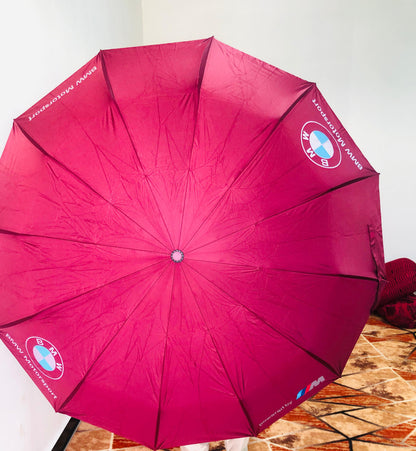 BMW Foldable Umbrella – Premium Windproof Design | AwamiImport.com