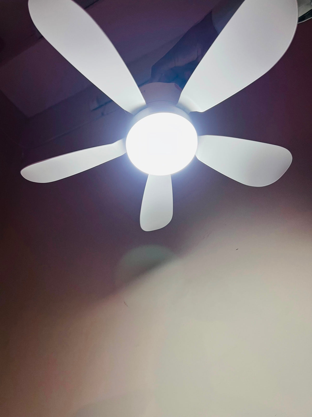 X100 Electric Ceiling Fan with 30 LED Lights & Remote Control 17.5 Wide | 3-Speed Rechargeable Ceiling Fan
